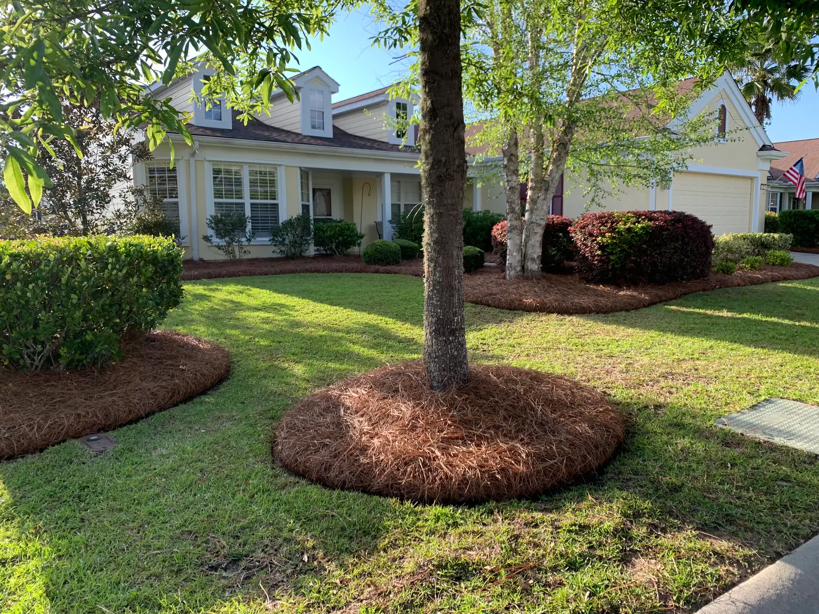 Fresh pinestraw tree rings and foundation beds in front of a home